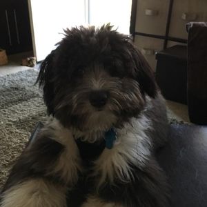 Meet your Posher, Evelyn